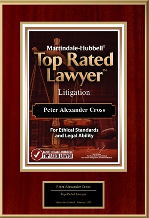 top rated lawyer